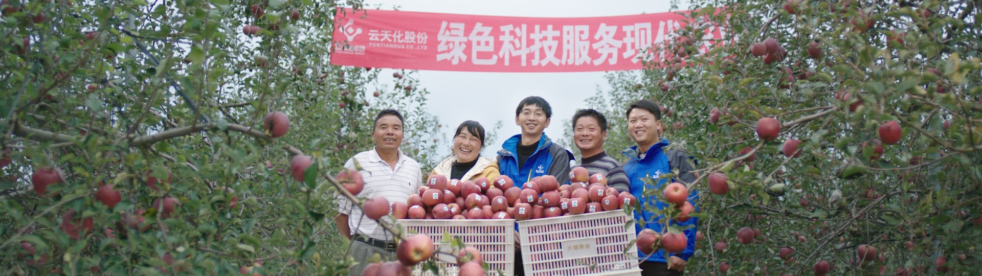助农增收
