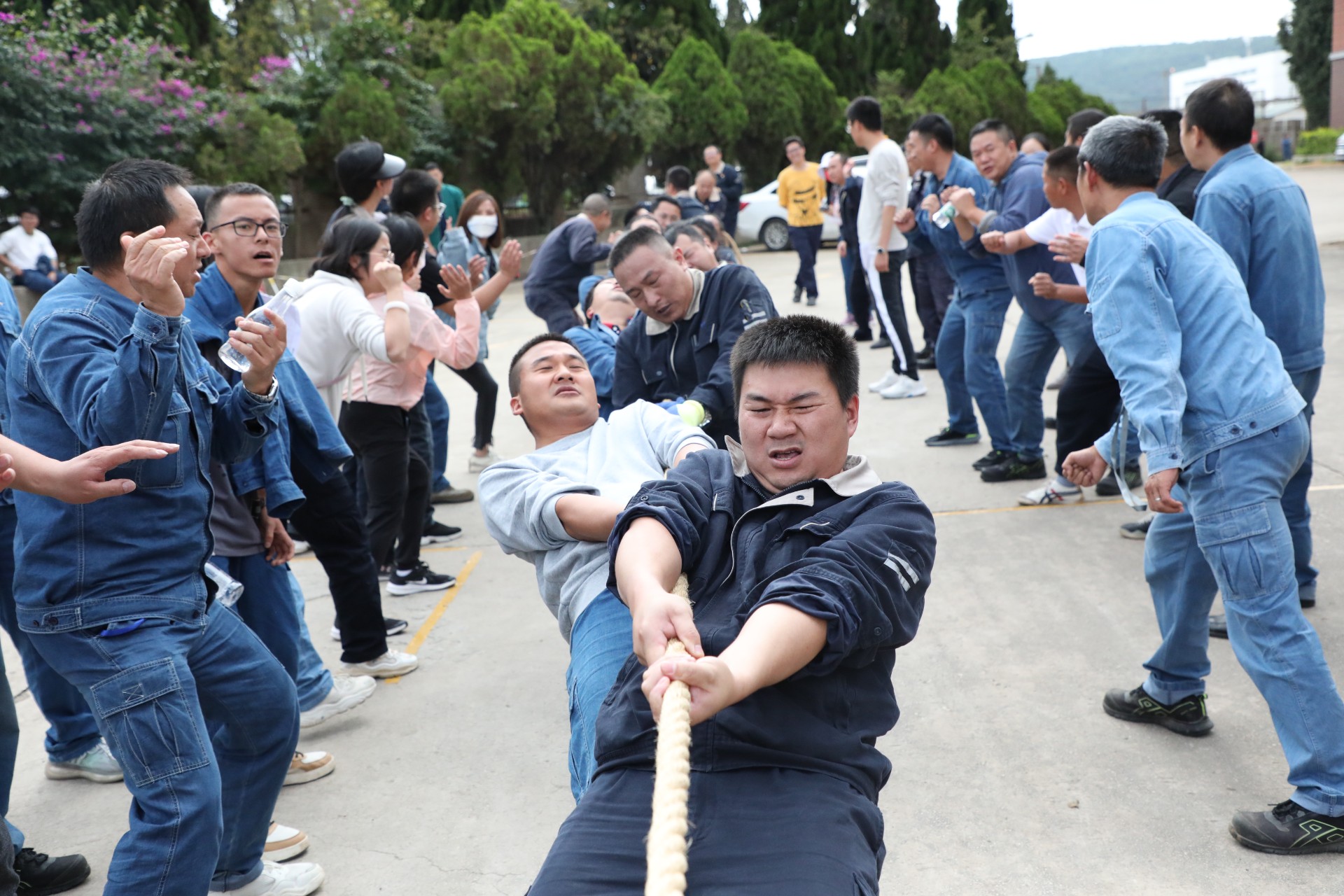 职工拔河比赛