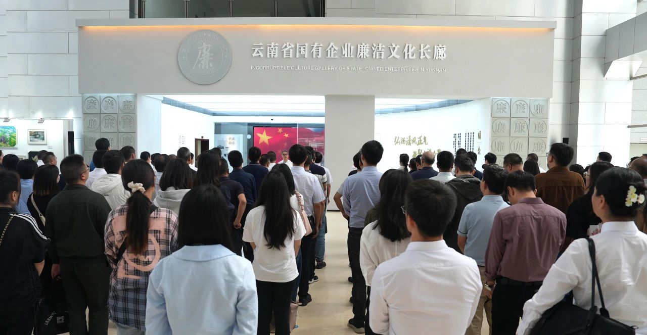 为企业高质量发展注入“廉动力”——云天化集团全面从严治党启新程之“文化建设篇”